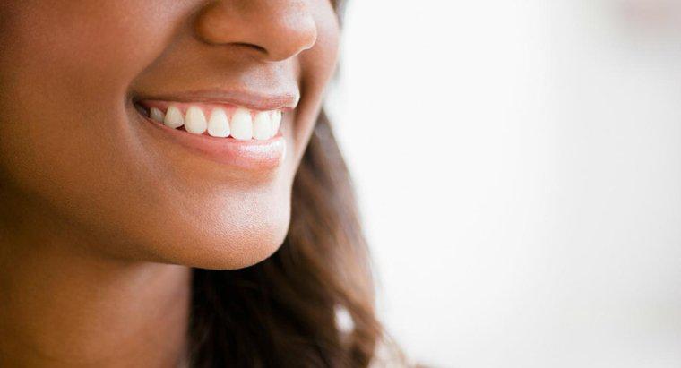 Quantos dentes de adulto você deveria ter?