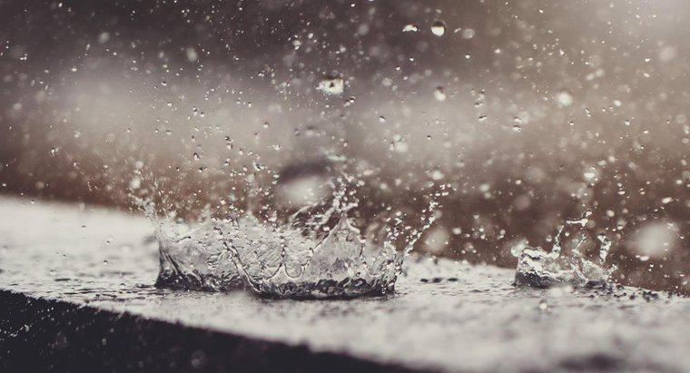 Onde você pode encontrar totais diários de precipitação local?