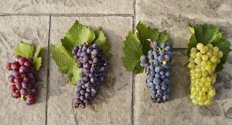 As uvas verdes são mais saudáveis ​​do que as vermelhas?