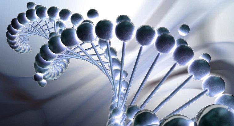 Quais são as unidades repetitivas de que o DNA é feito?