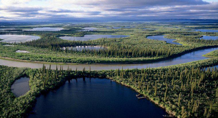 Qual é o maior rio do Canadá?