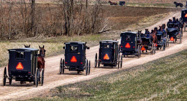 Os Amish têm números de seguridade social?