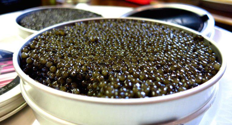 Quanto tempo dura o caviar?