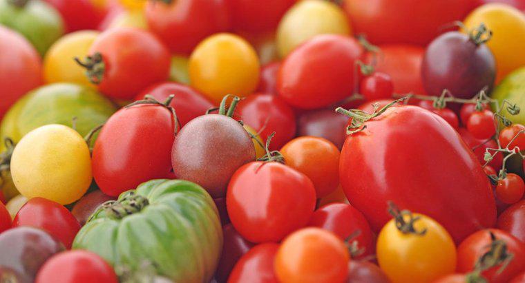 O tomate é uma fruta cítrica?