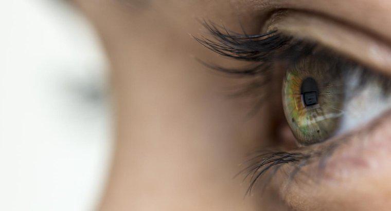 Quais são os sintomas de herpes zoster no olho?