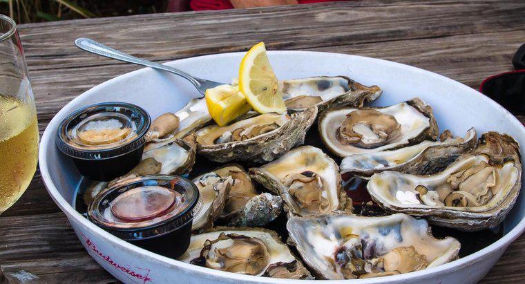 Qual é a diferença entre amêijoas e ostras?