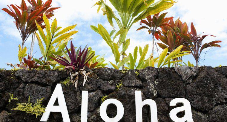 Quantas letras existem no alfabeto havaiano?
