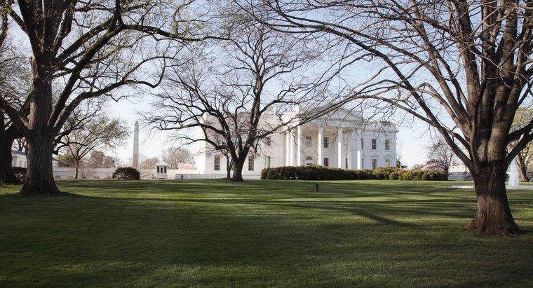 Quais presidentes não moravam na Casa Branca?