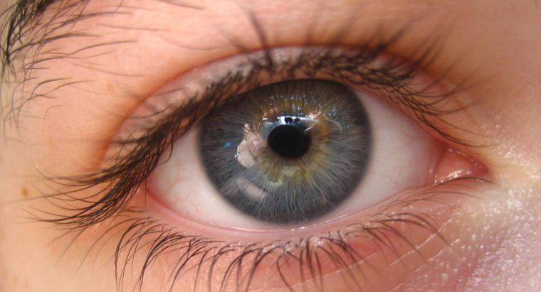 Quão raros são os olhos cinzentos?