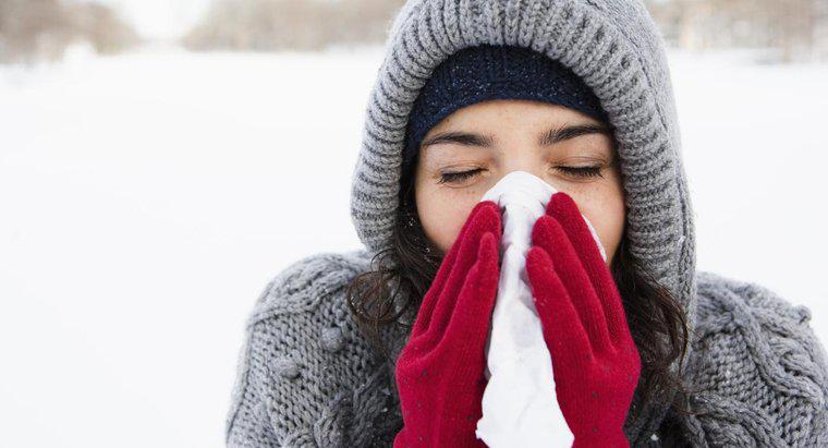 Qual é o melhor tratamento para um resfriado?