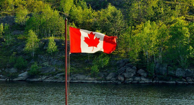 Qual é o clima do escudo canadense?