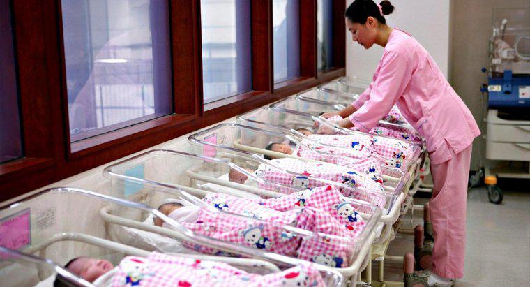 Qual é a maior quantidade de bebês nascidos de um único nascimento?