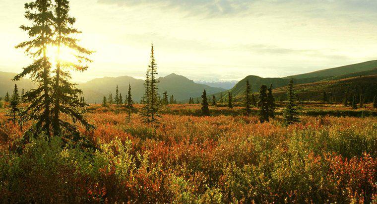 Quais são as preocupações ecológicas e ambientais do bioma Tundra?