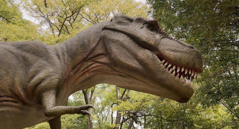 Qual é o parente mais próximo do Tiranossauro Rex?