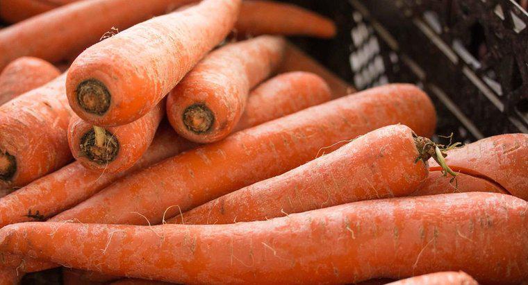 As cenouras frescas podem ser congeladas?