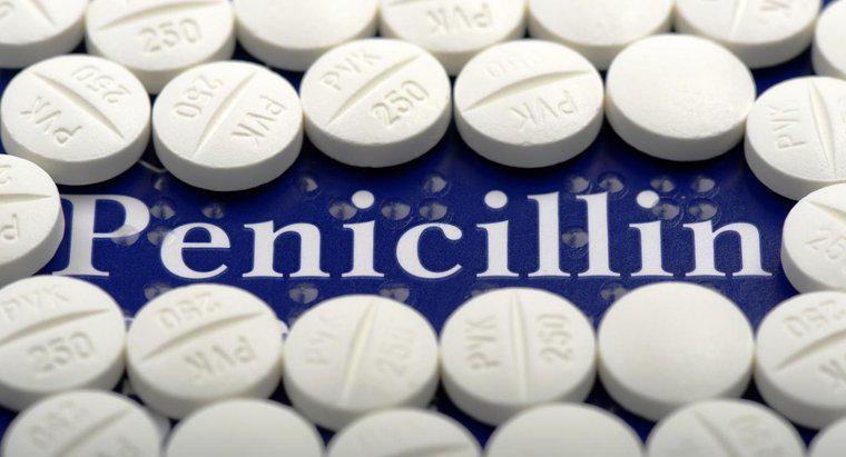 A penicilina pode tratar a vaginose bacteriana?