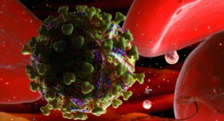 Por quanto tempo o HIV pode sobreviver fora do corpo humano?