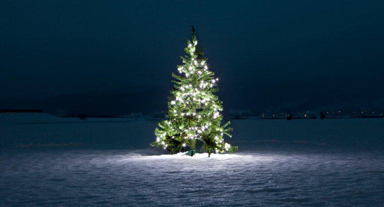 O que a árvore de Natal simboliza?