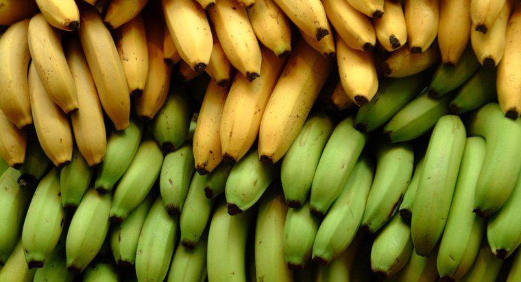 Quantas onças é uma banana média?