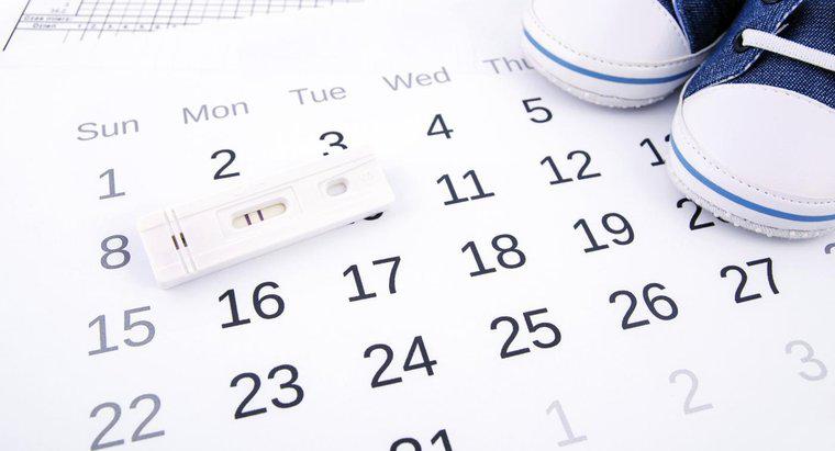 O que é uma calculadora de ovulação?