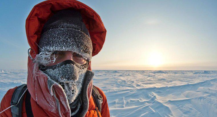 Quão frio está no Ártico?