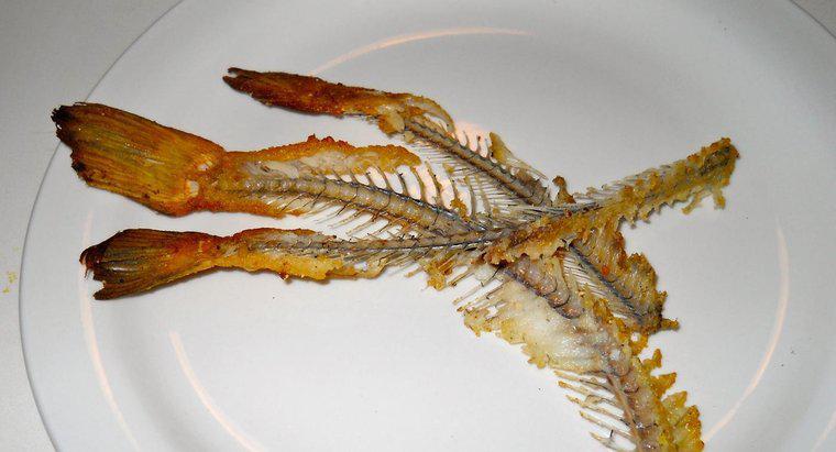 É perigoso engolir ossos de peixe?