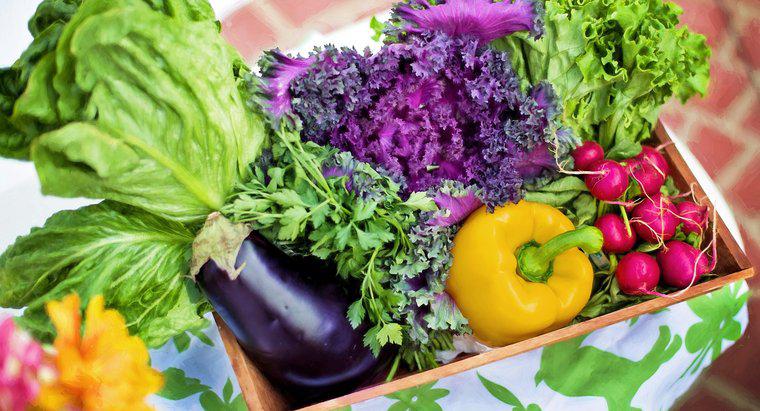 Dietas e saúde: uma dieta baseada em vegetais