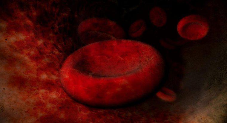 Qual é a causa do aumento dos glóbulos vermelhos?