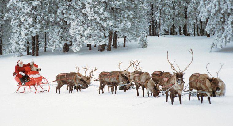 Quais são os nomes das renas do Papai Noel?