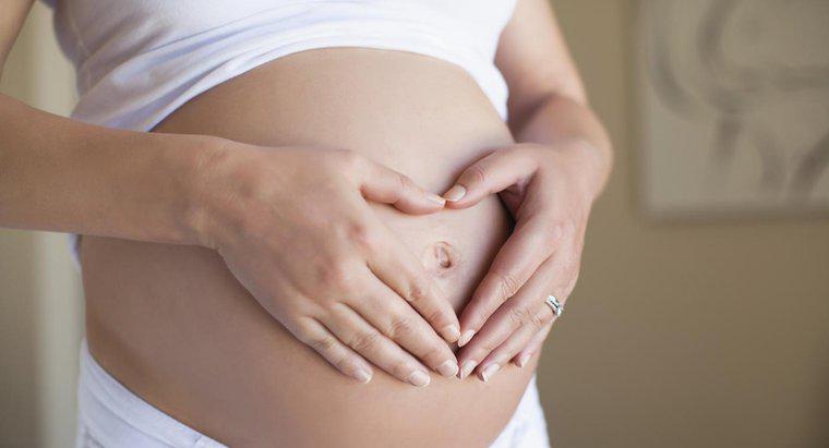Quando é que uma mulher tem maior probabilidade de engravidar?