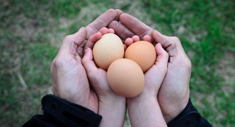 Quanto pesa um ovo de galinha?