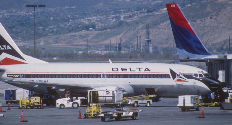 Como você faz o check-in da bagagem na Delta Airlines?
