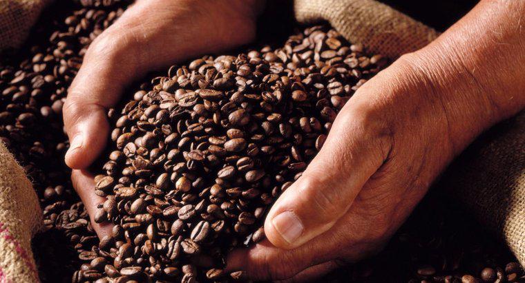 Você pode moer grãos de café no liquidificador?