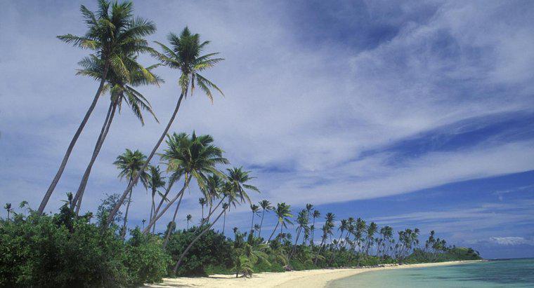 Quais são algumas características físicas de Fiji?