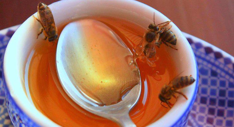 Qual é o melhor mel do mundo?