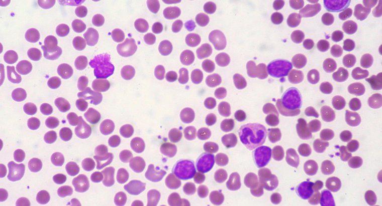 O que é uma contagem normal de hemoglobina?