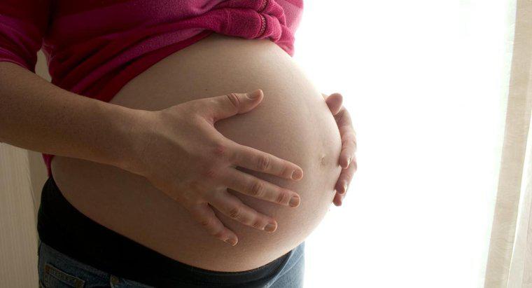 Qual é a gravidez mais longa da história?