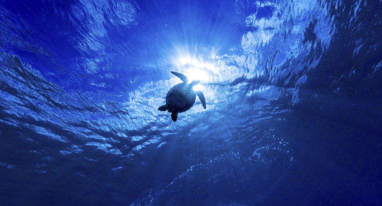 Qual é o oceano mais profundo do mundo?