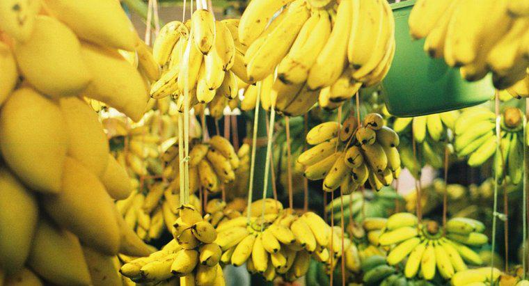 Quantas bananas tem uma libra?