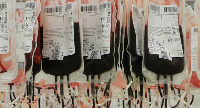 Qual é o tipo de doador universal de sangue?