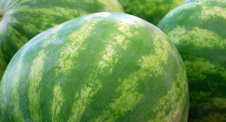 Quanto pesa uma melancia média?