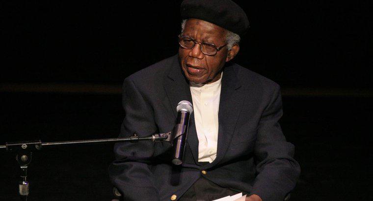 Sobre o que é o conto "O eleitor", de Chinua Achebe?