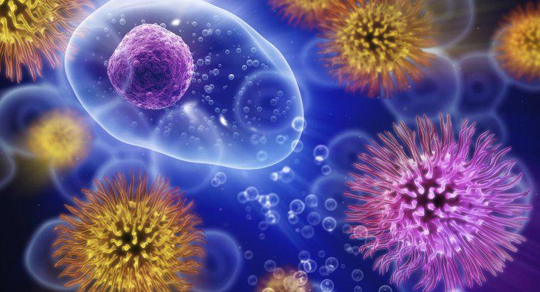 Por quanto tempo o vírus do resfriado pode viver fora do corpo?