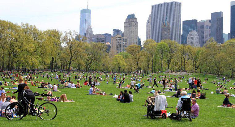 Qual é o tamanho do Central Park na cidade de Nova York?