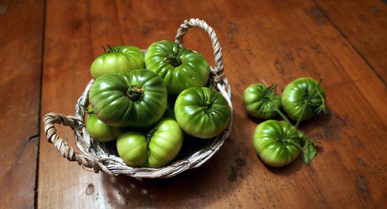 Como você congela tomates verdes?