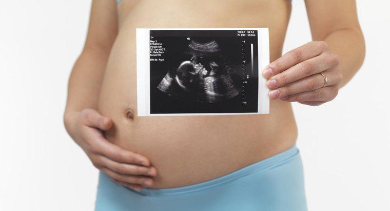 Um feto de 5 meses pode sobreviver fora do útero?
