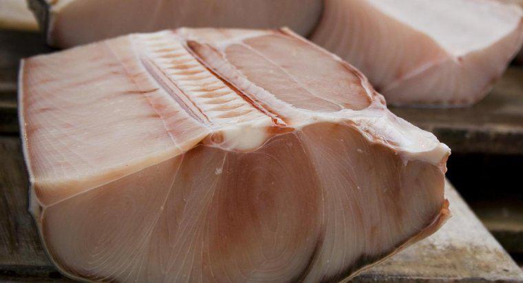 A carne de tubarão é segura para comer?