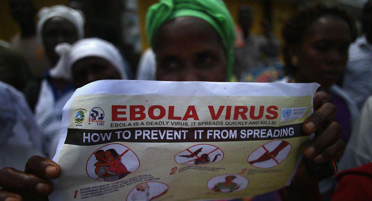 Como as pessoas podem se proteger da doença do vírus Ebola?