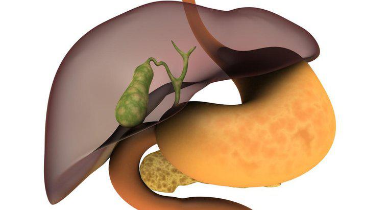 O que é um fígado heterogêneo?