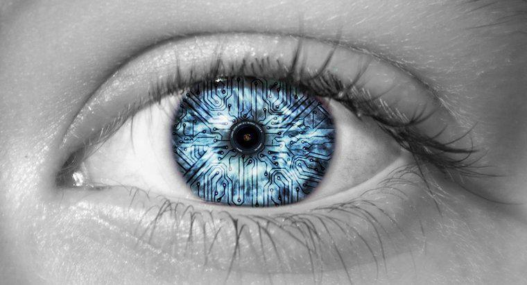 O que permite ao olho humano ver as cores?